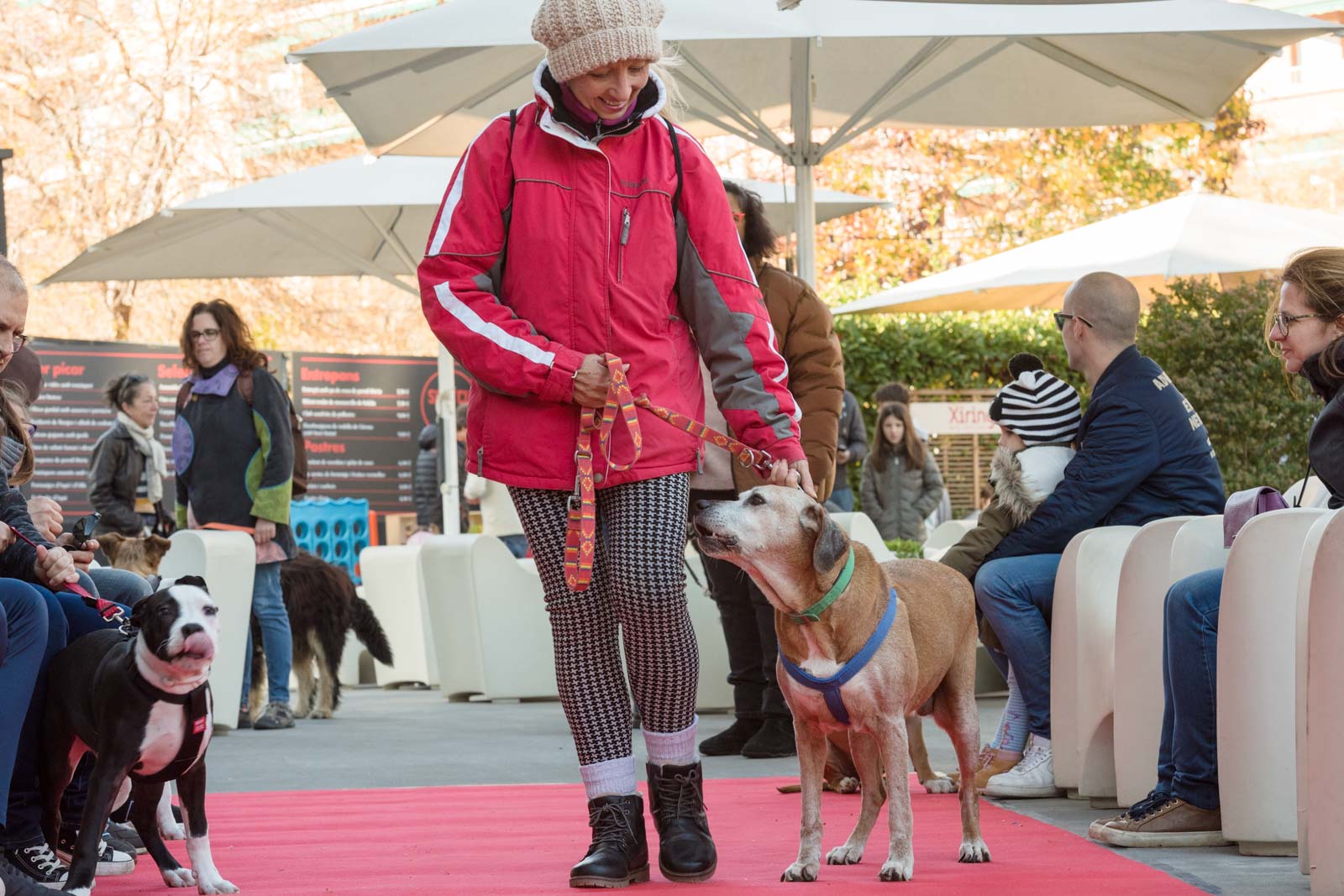 Esdeveniment solidari al Jardi de L'Hotel Sant Cugat. Foto: Oscar Bayona 