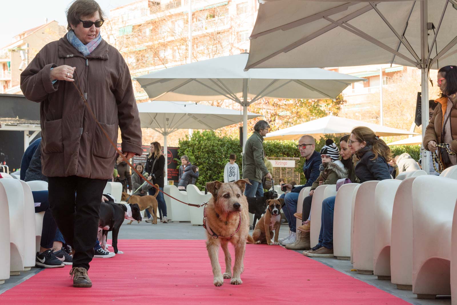 Esdeveniment solidari al Jardi de L'Hotel Sant Cugat. Foto: Oscar Bayona 