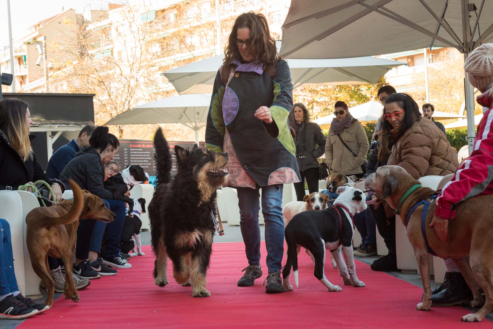 Esdeveniment solidari al Jardi de L'Hotel Sant Cugat. Foto: Oscar Bayona 