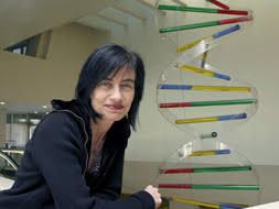Mara Dierssen és una neurobiòloga investigadora i professora universitària especialitzada en Síndrome de Down FOTO: Cedida