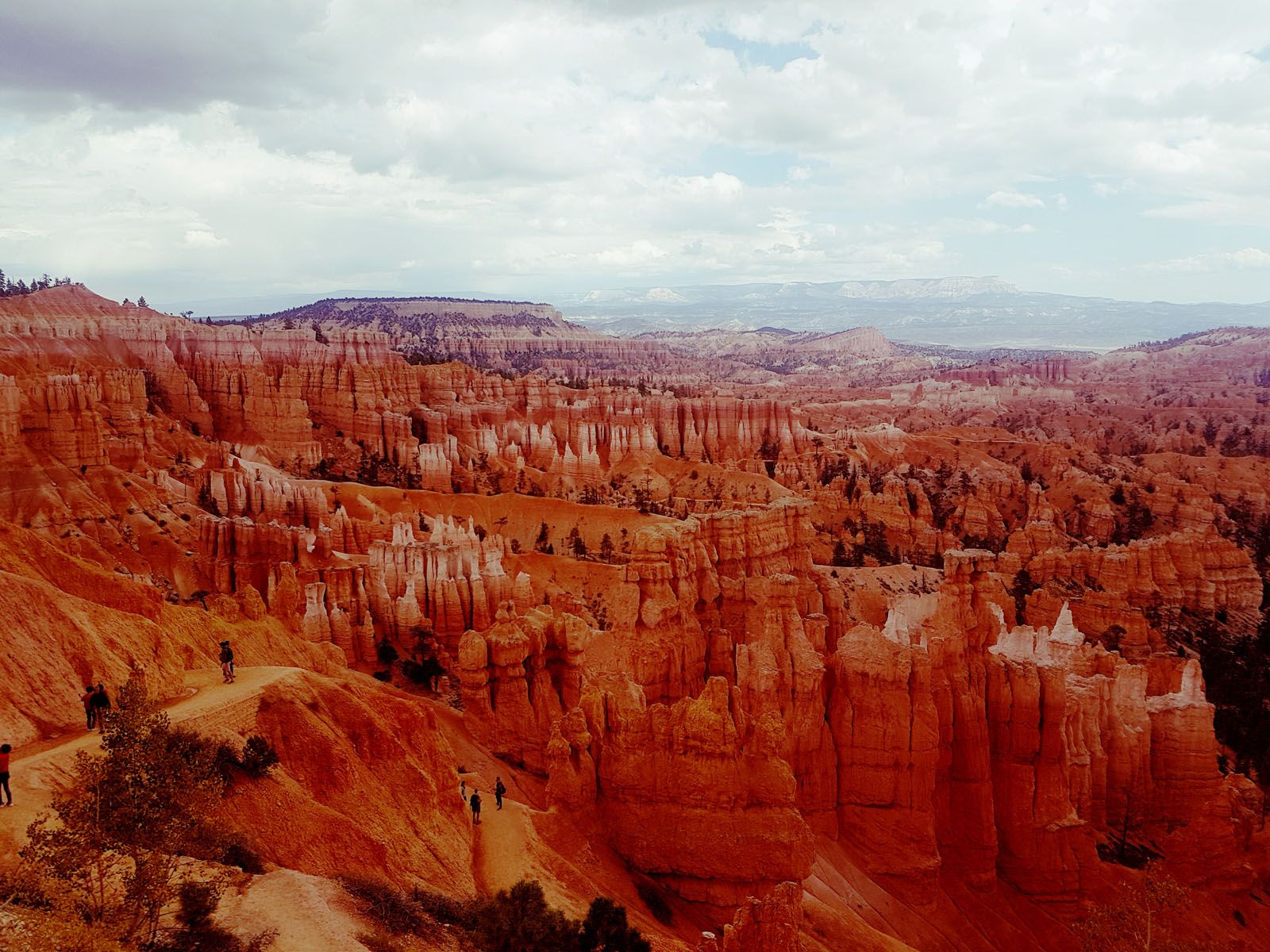 Eva Mayoral   Espectacle de la naturalesa