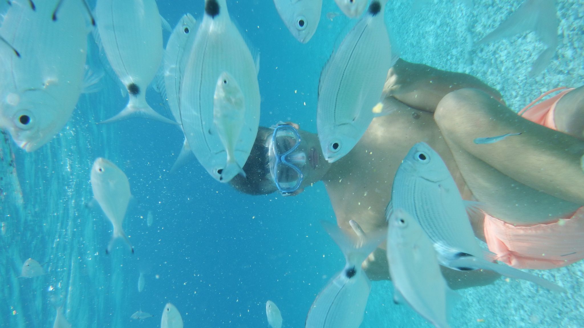 Francisco Cervantes Hernández   Acuario natural?