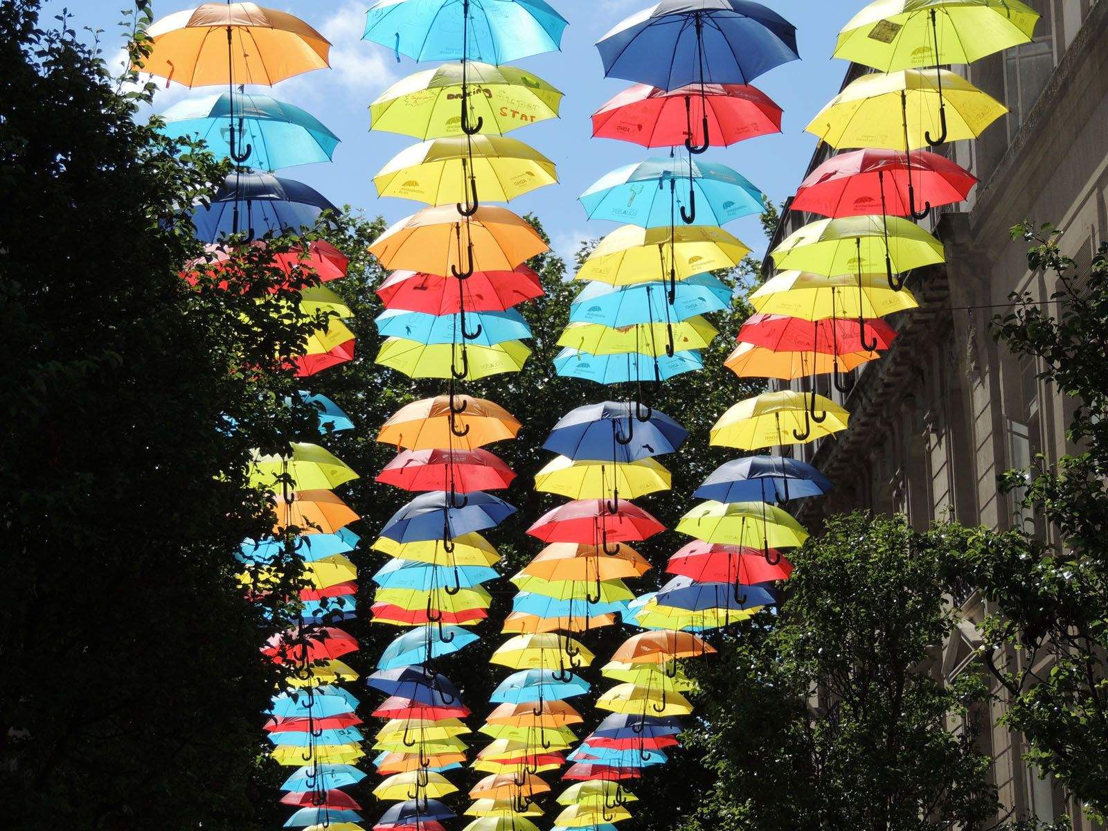 Francisco Vidal Pérez   Paraigües solidaris pel TDAH