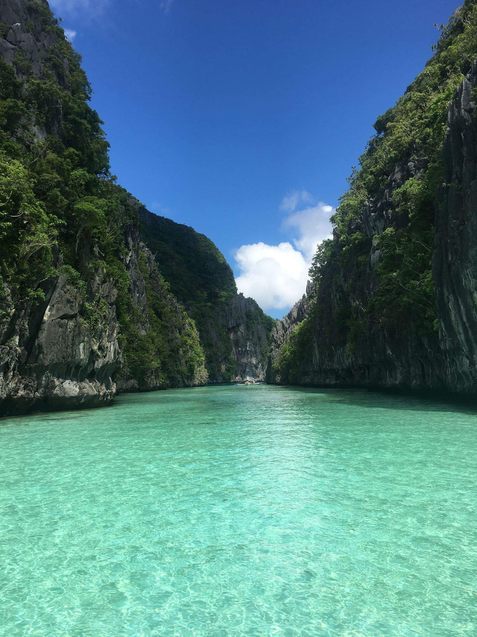 Gemma Rey Gasset   Sense paraules!