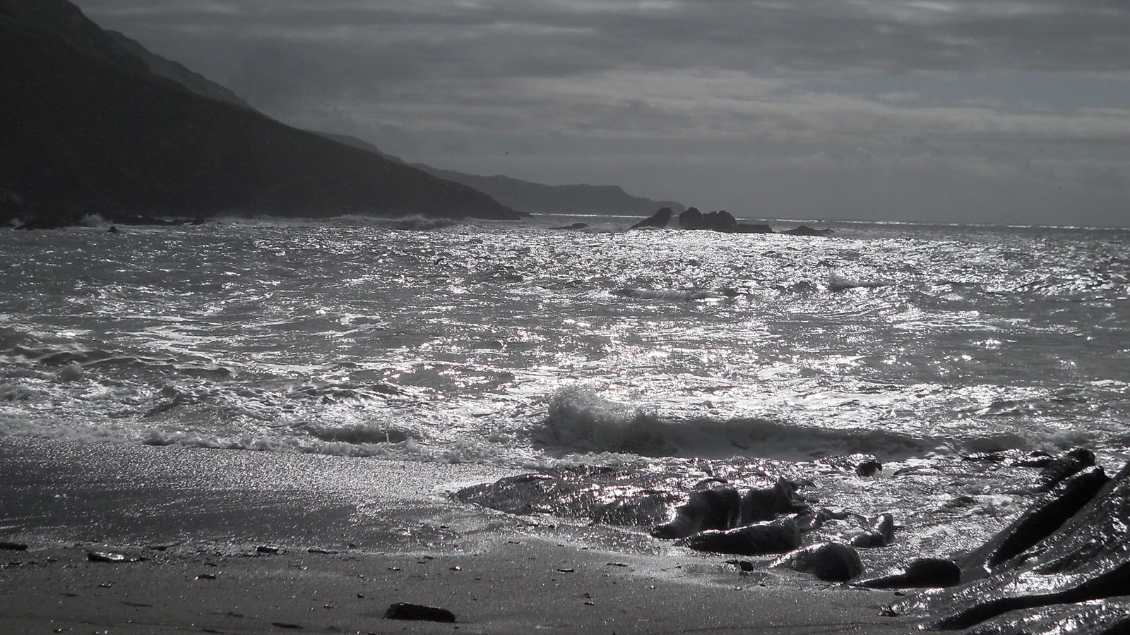 Griselda Ballester Tataret   Vestigis de la pluja