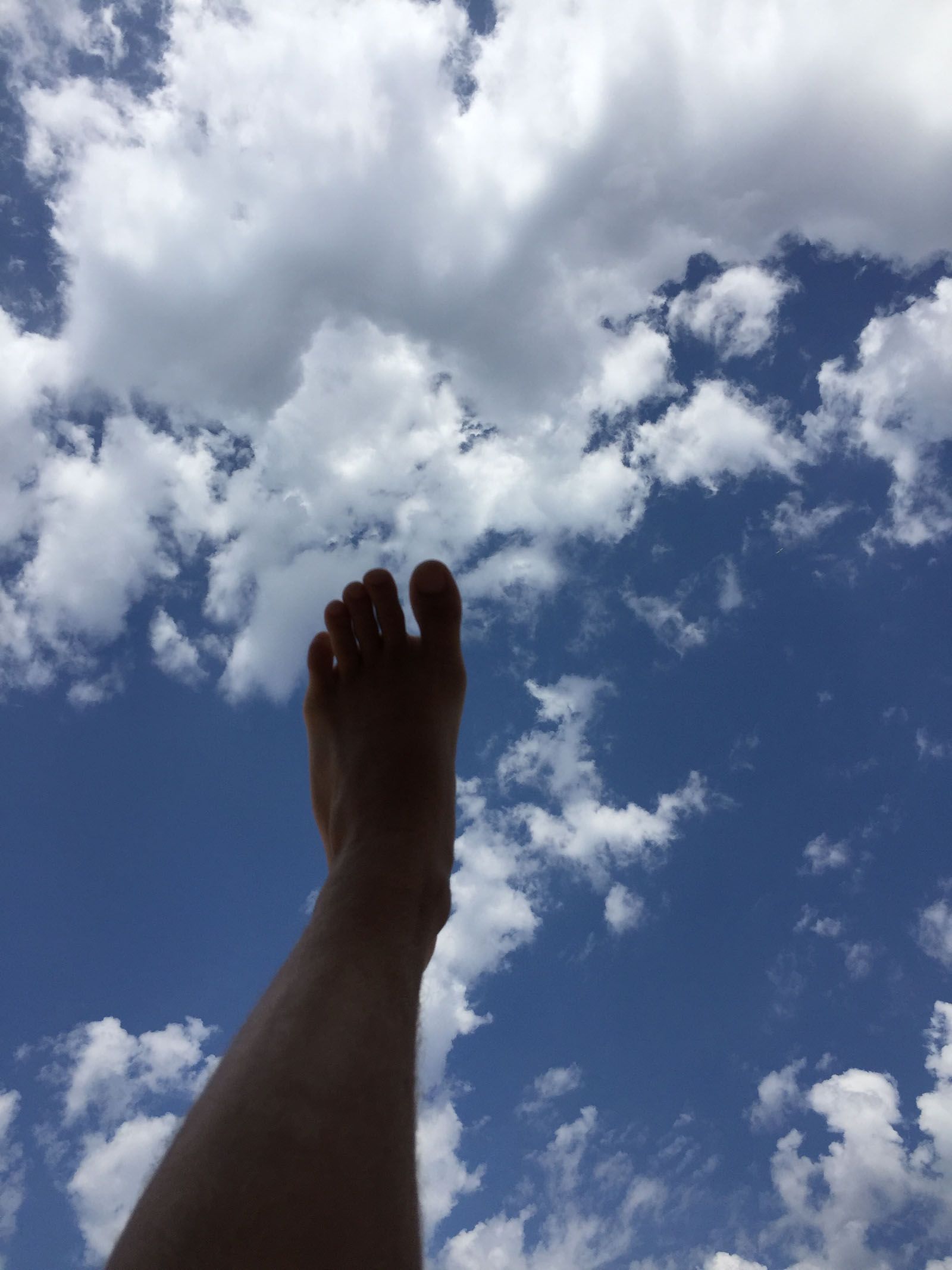 Guillem Rodriguez   Flying