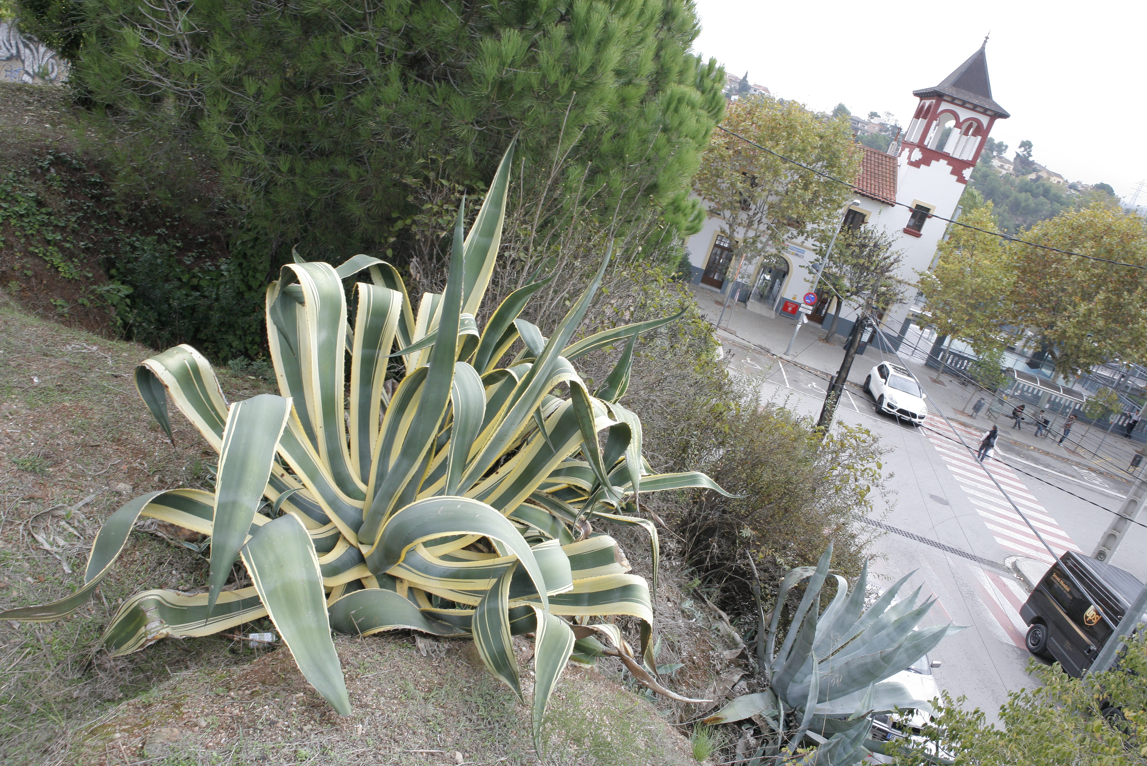 Espai on s'ubicarà la plaça-mirador a tocar de l'estació de Valldoreix FOTO: Artur Ribera