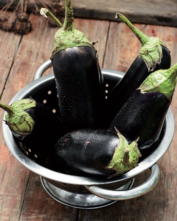 Decoreu-lo amb unes tiges de ceba tendra picada i una fulla de julivert FOTO: Cedida