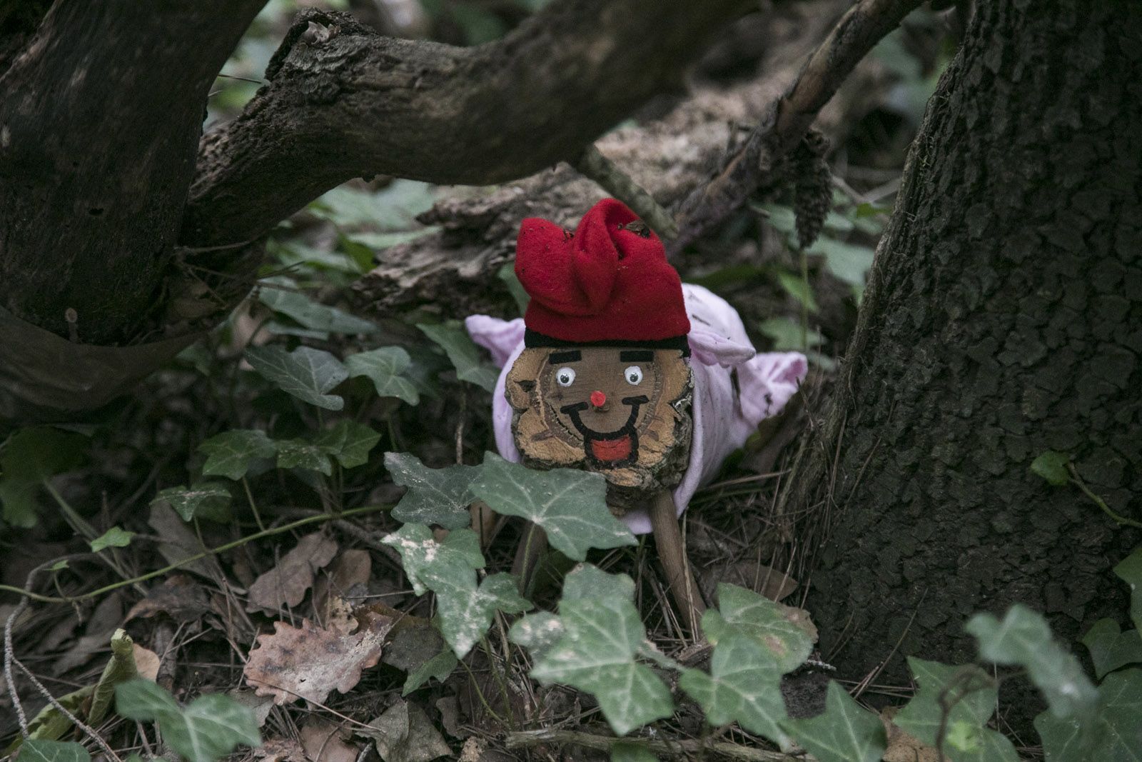 Cacera de tions. FOTO: Lali Puig