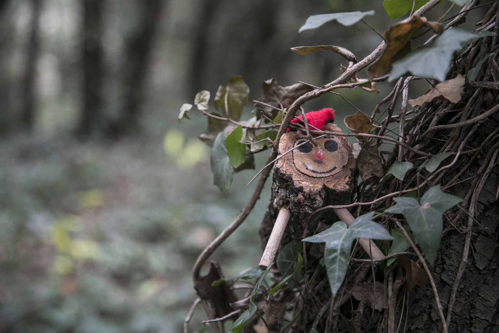 Cacera de tions. FOTO: Lali Puig