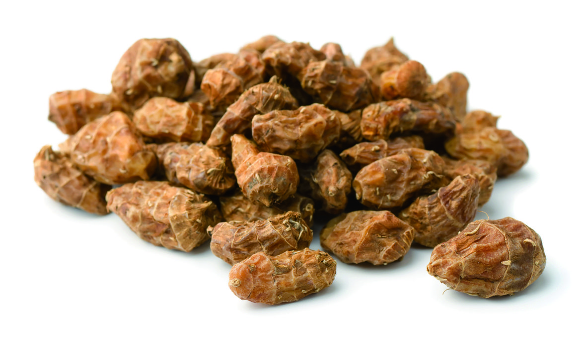 La llet de xufa pot ser un substitut perfecte de la llet de vaca per a vegans i intolerants a la lactosa