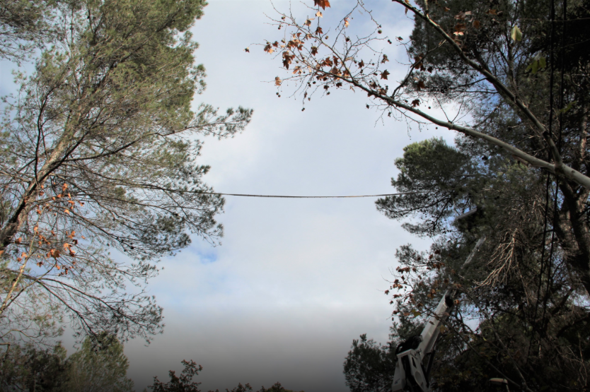 Passarel·la per a esquirols a Valldoreix FOTO: EMD Valldoreix 