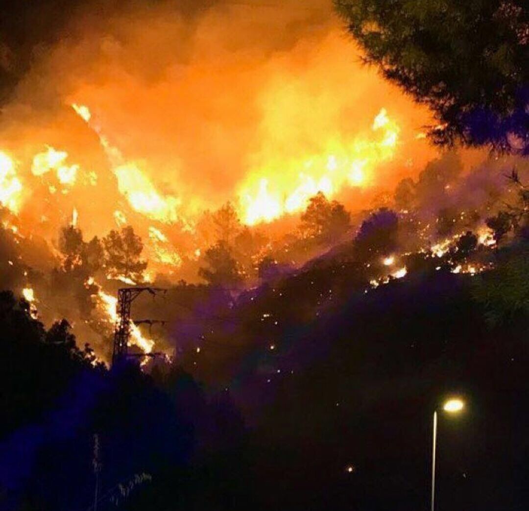 L'incendi de Castelldefels FOTO: Cedida 