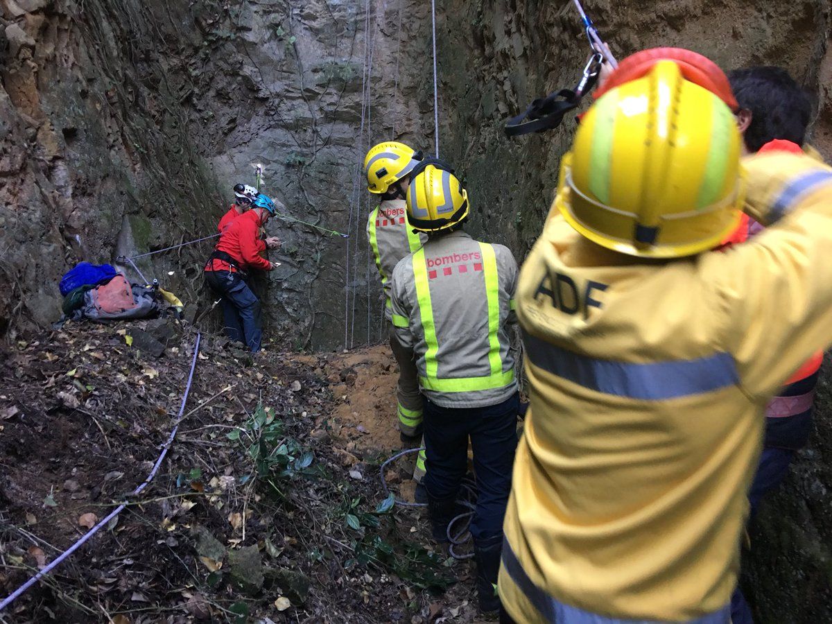 Bombers i ADF durant el rescat dels animals FOTO: ADF