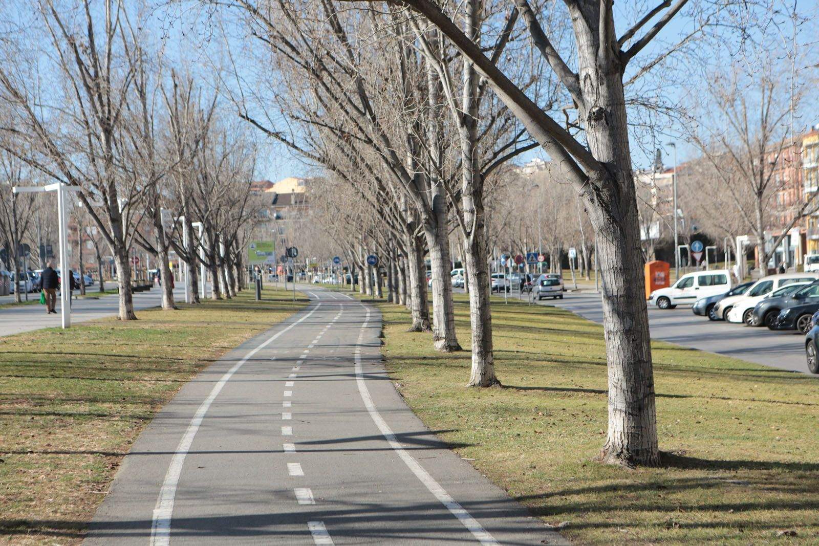 Pollancres que es retiraran de la rambla del Celler FOTO: Artur Ribera