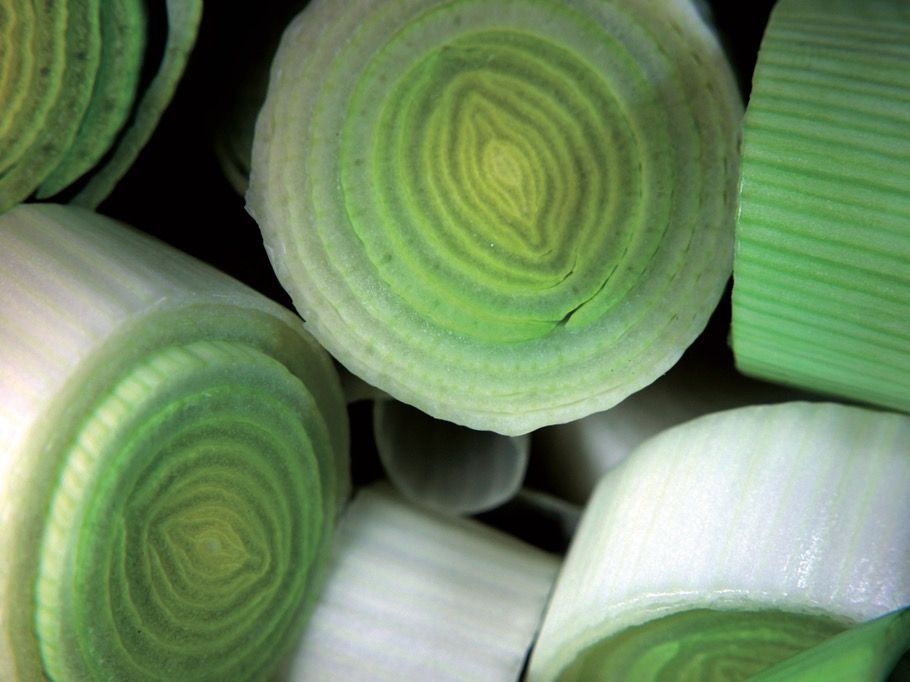 Podeu escollir el formatge al vostre gust FOTO: Cedida