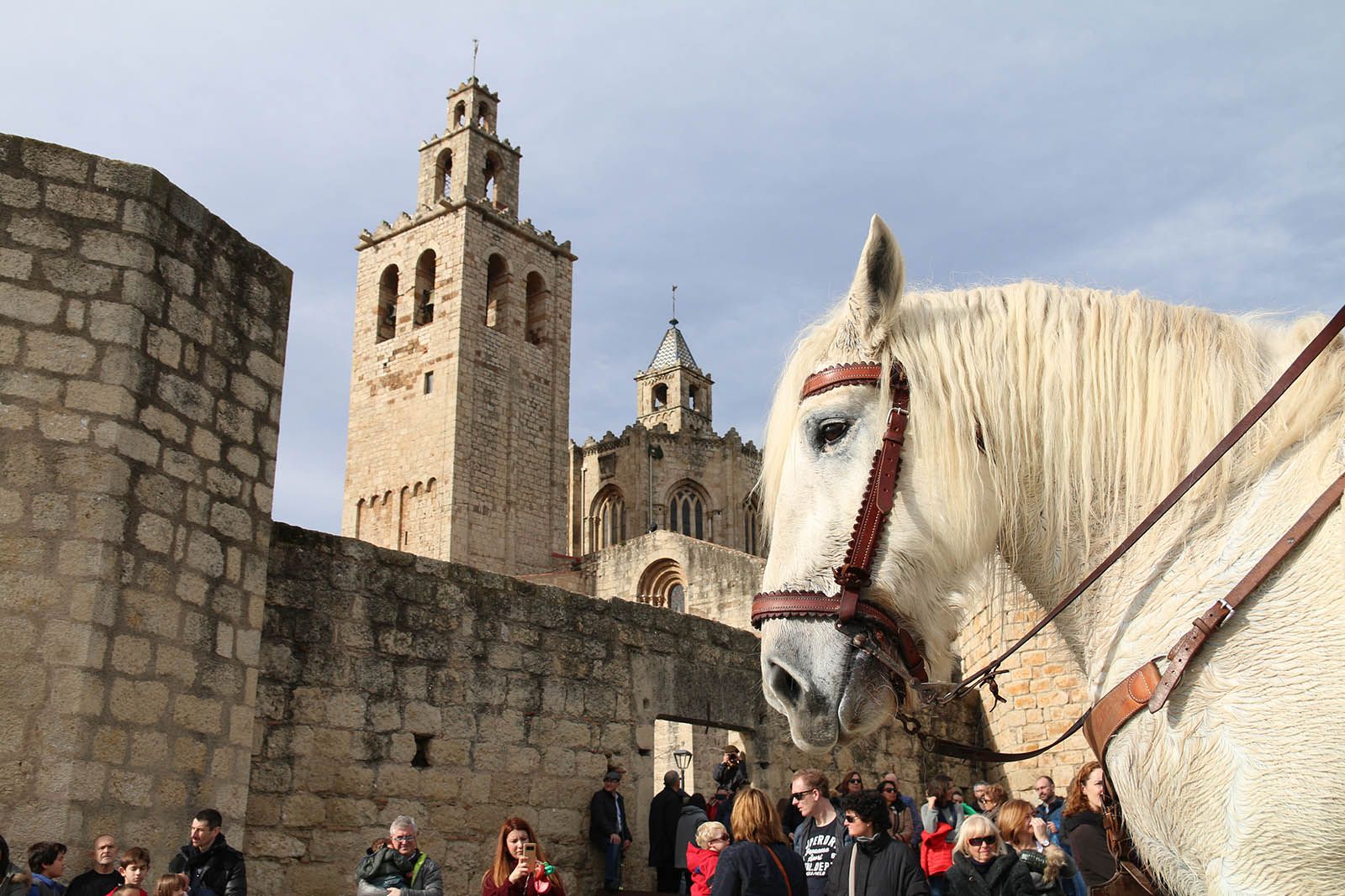 Els Tres Tombs. Foto: Lali Álvarez