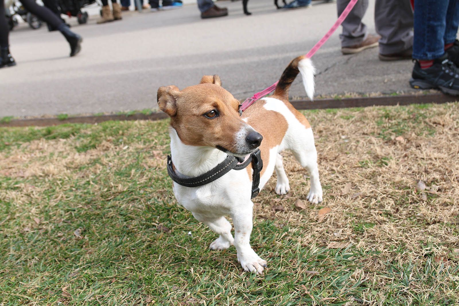 Els Tres Tombs. Foto: Lali Álvarez