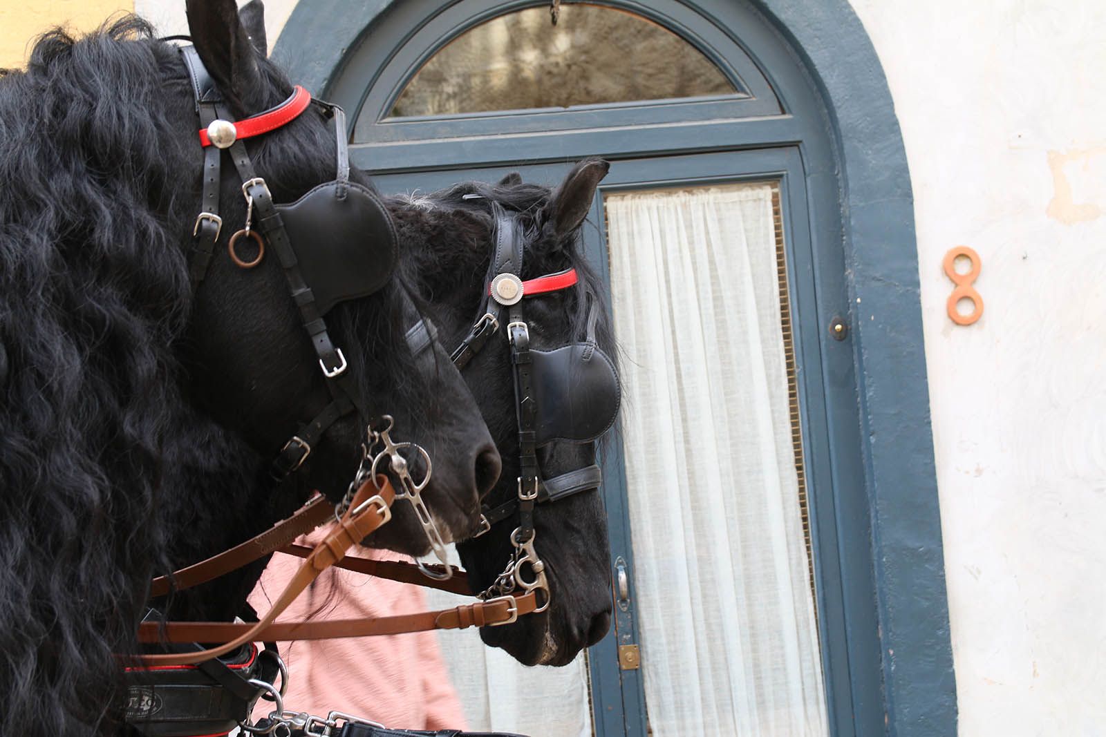 Els Tres Tombs. Foto: Lali Álvarez