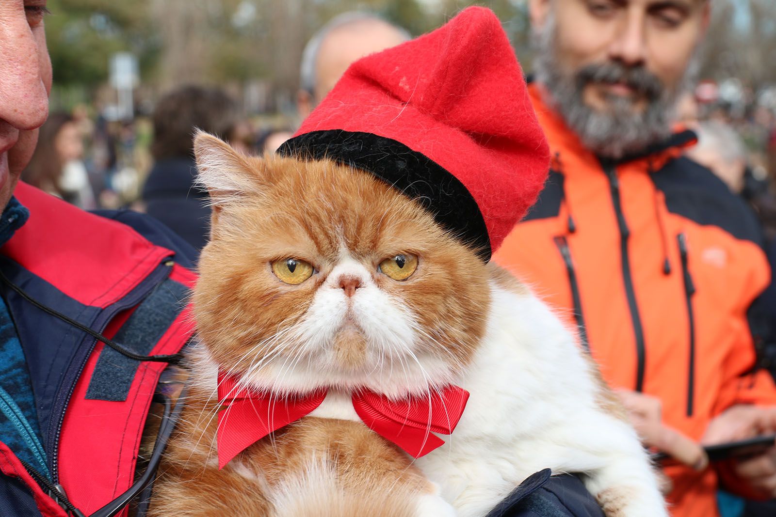 Els Tres Tombs. Foto: Lali Álvarez