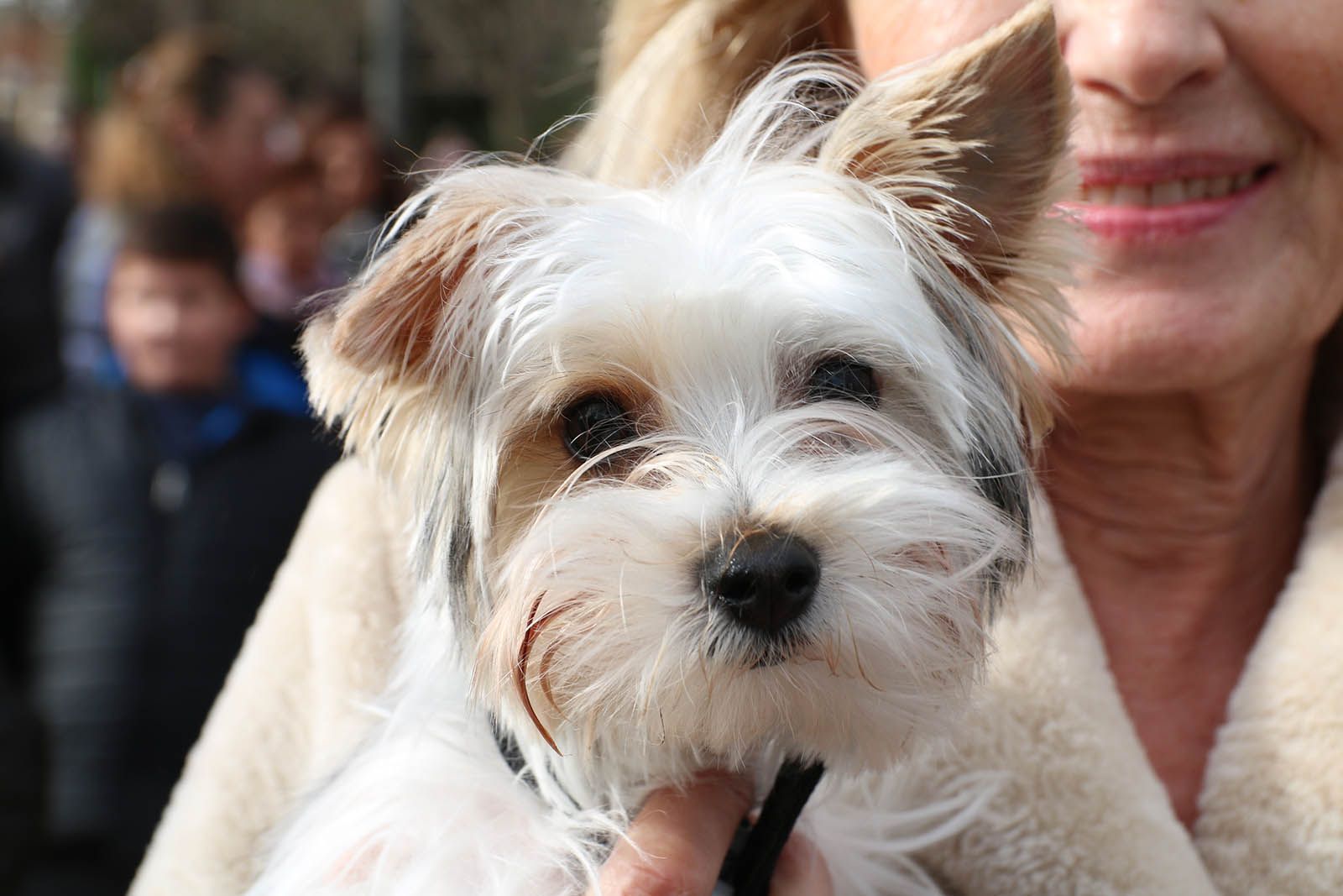Els Tres Tombs. Foto: Lali Álvarez