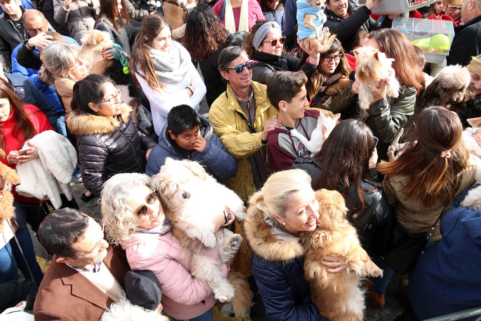 Els Tres Tombs. Foto: Lali Álvarez