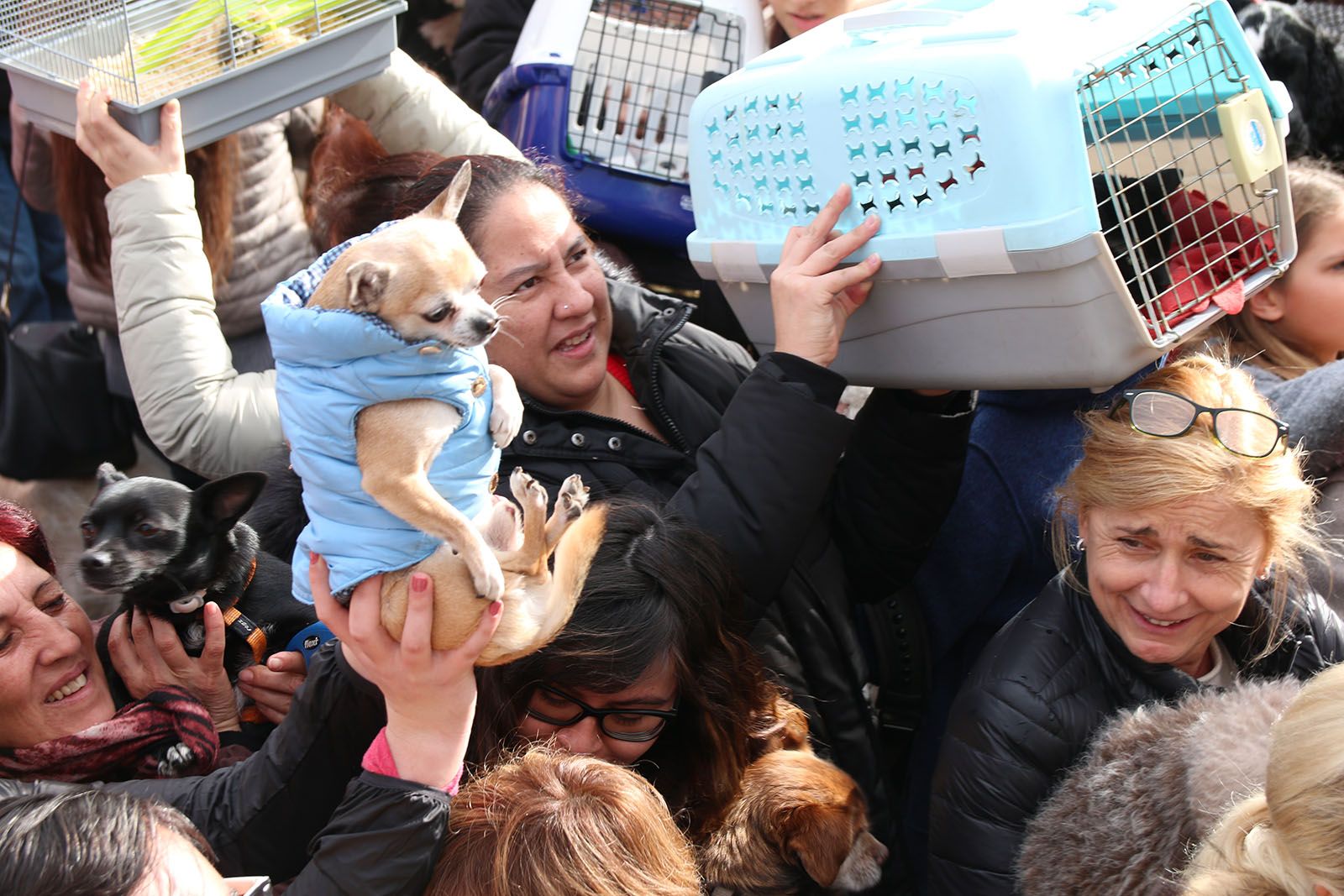 Els Tres Tombs. Foto: Lali Álvarez
