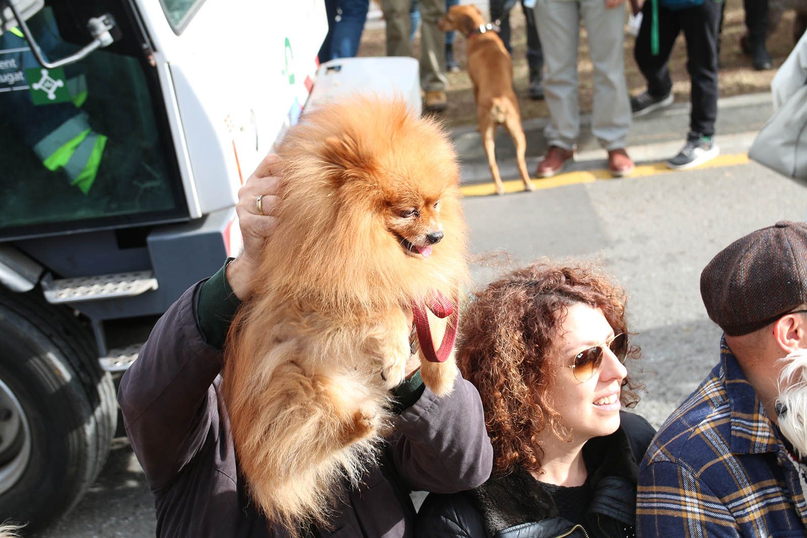 Els Tres Tombs. Foto: Lali Álvarez
