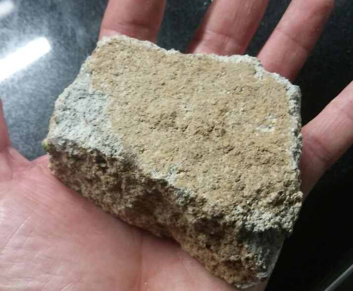 La pedra que una santcugatenca es va trobar a casa FOTO: Cedida