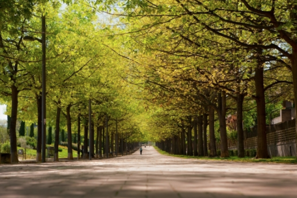 Passeig Gaudí de Sant Cugat FOTO: Artur Ribera