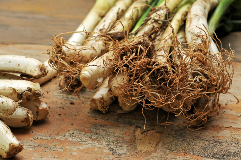 Cada calçot és un brot d’una ceba blanca tendra que ha estat replantada FOTO: Cedida