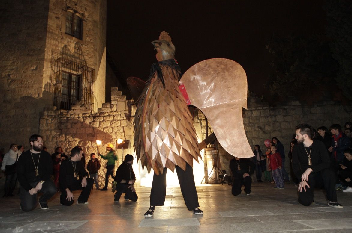 El Gall tornarà a regnar a Sant Cugat des d'aquest dijous  FOTO: Artur Ribera