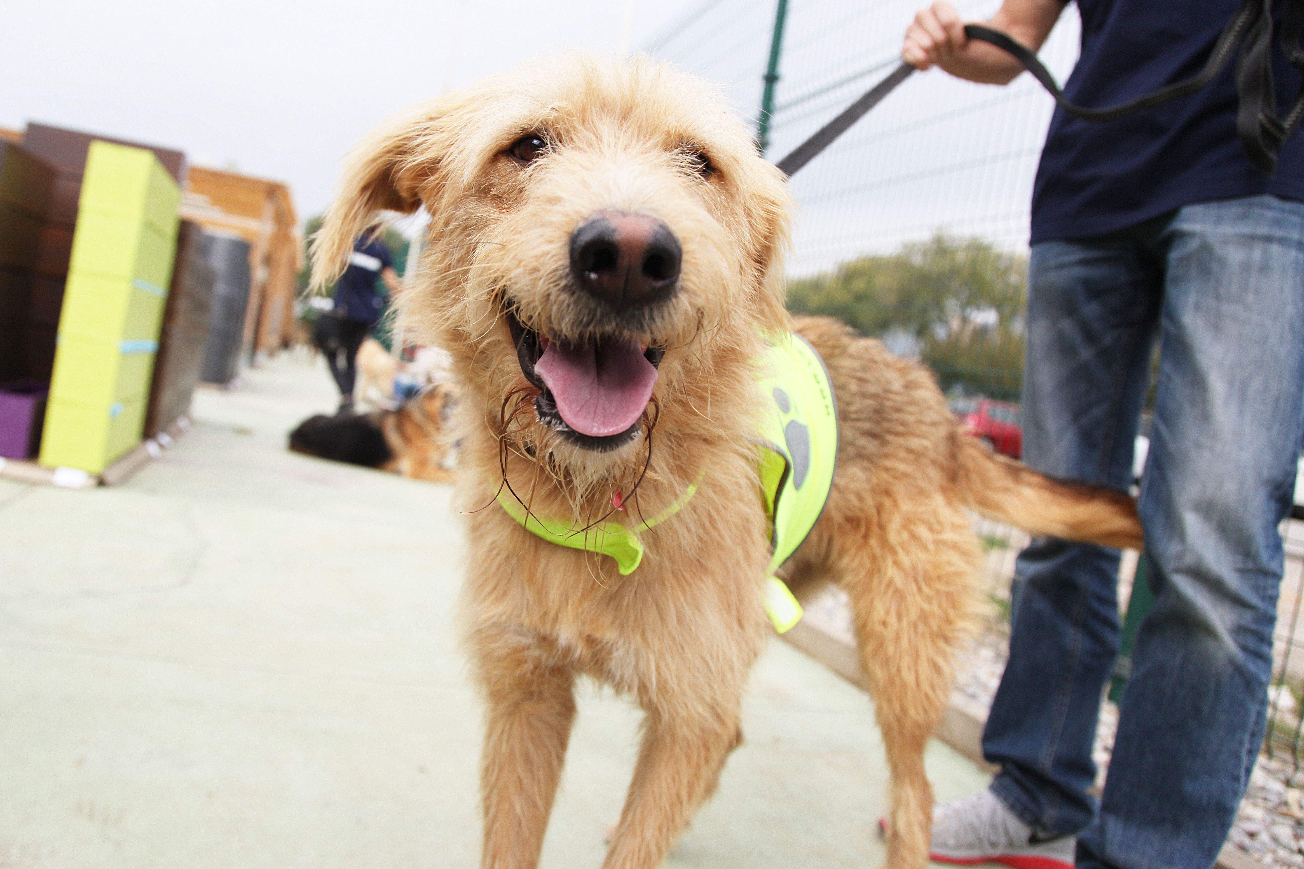 La campanya estarà en vigor fins al 5 de maig FOTO: Lali Puig 