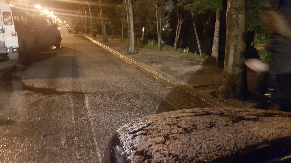 Mira-sol. FOTO: @manelcervantese