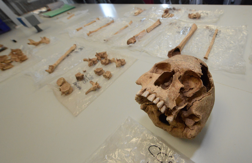 Restes humanes dels individus de l'època romana de Sant Cugat FOTO: Localpres
