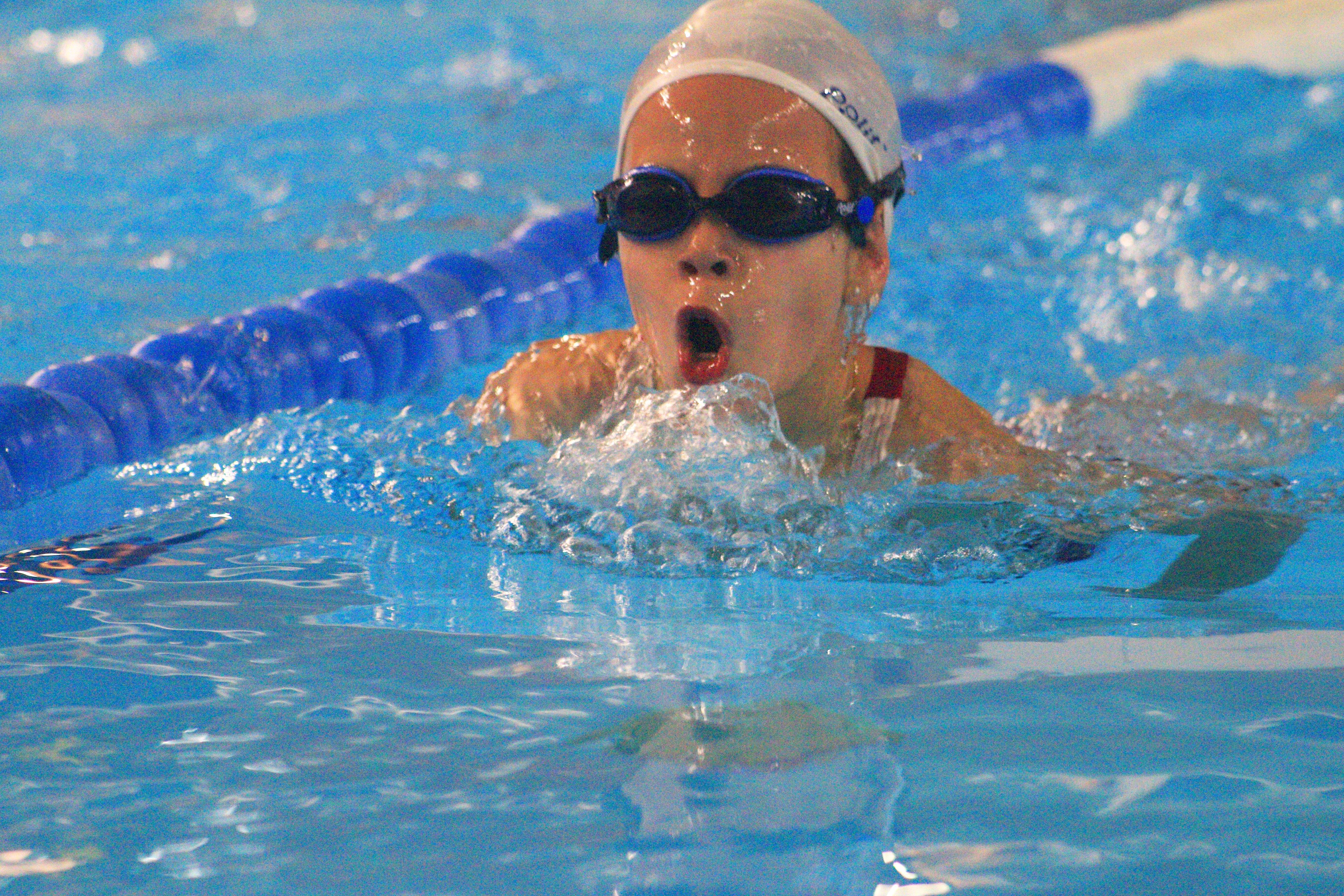 En l'edició del 2017 hi van nedar 288 escolars. FOTO: Lali Álvarez