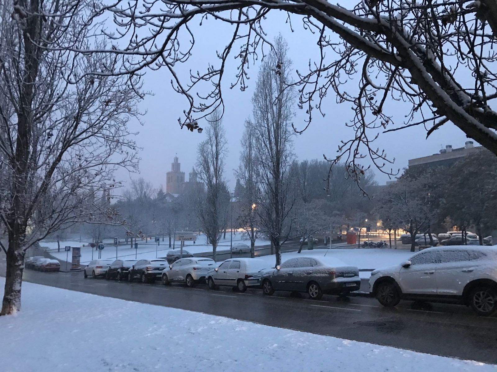 Així s'ha despertat Francesc Macià FOTO: Mireia Puente 