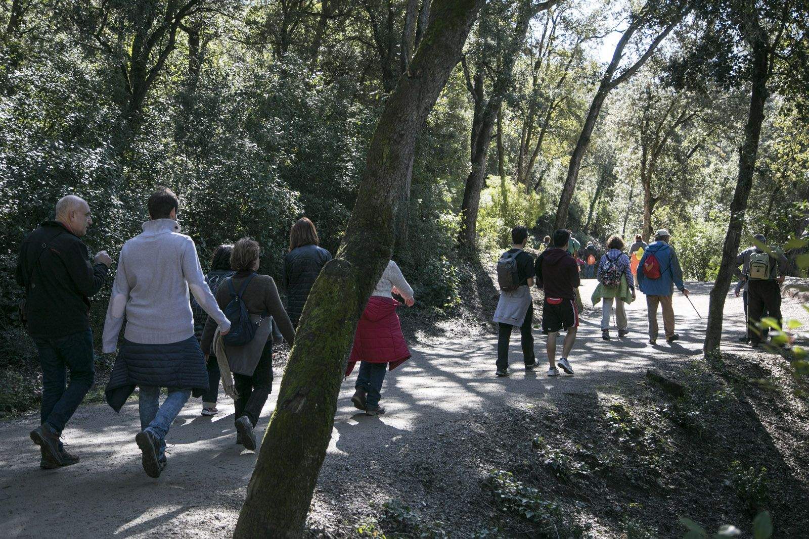 Aplec de Sant Medir 2018.  FOTO: Lali Puig