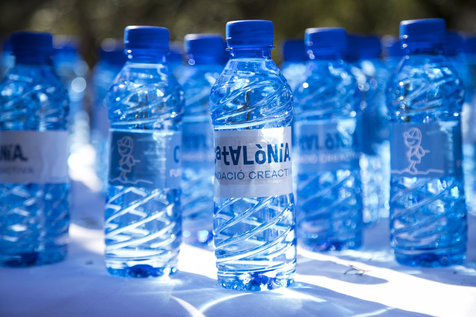 Aplec de Sant Medir 2018.  FOTO: Lali Puig