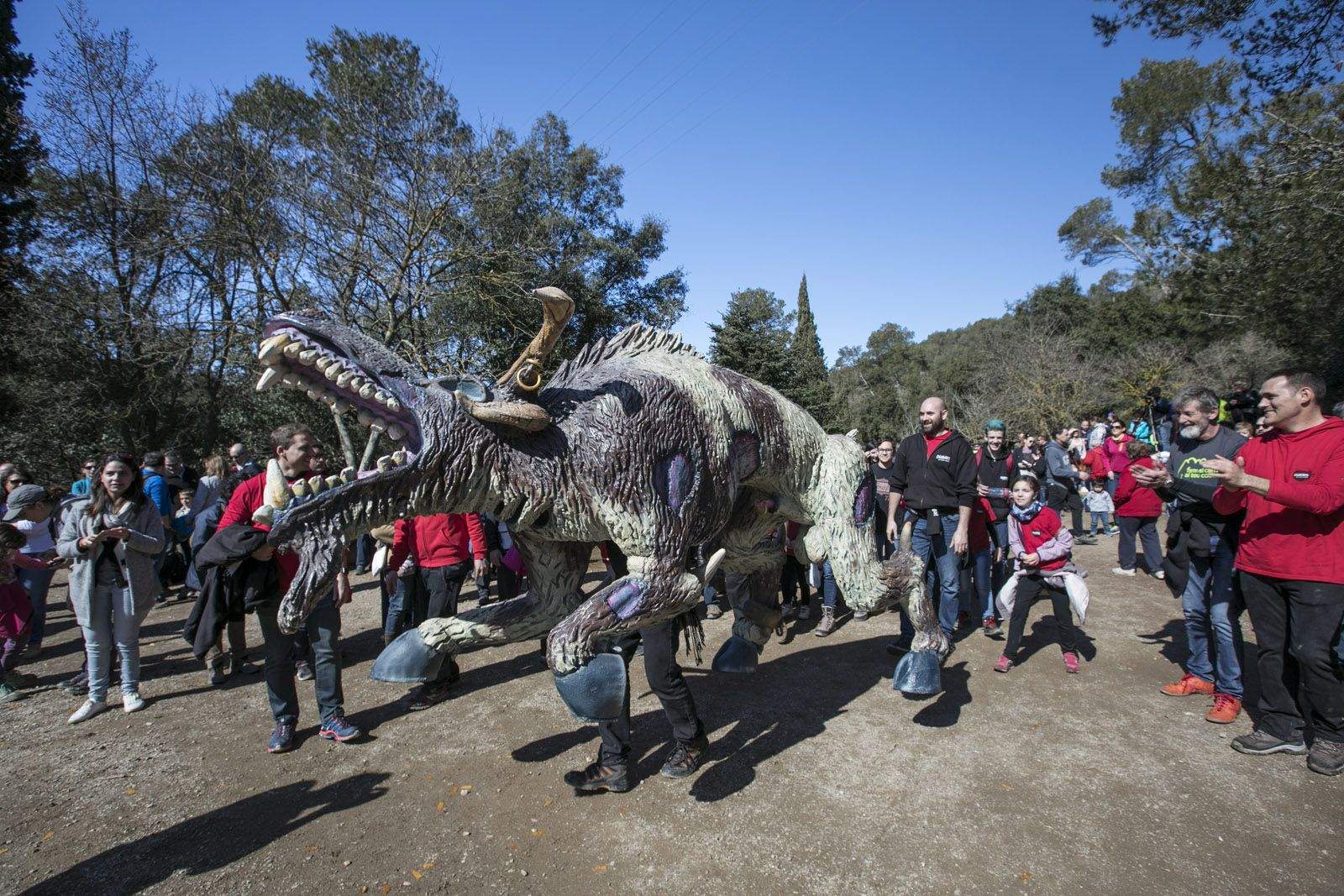 Aplec de Sant Medir 2018.  FOTO: Lali Puig