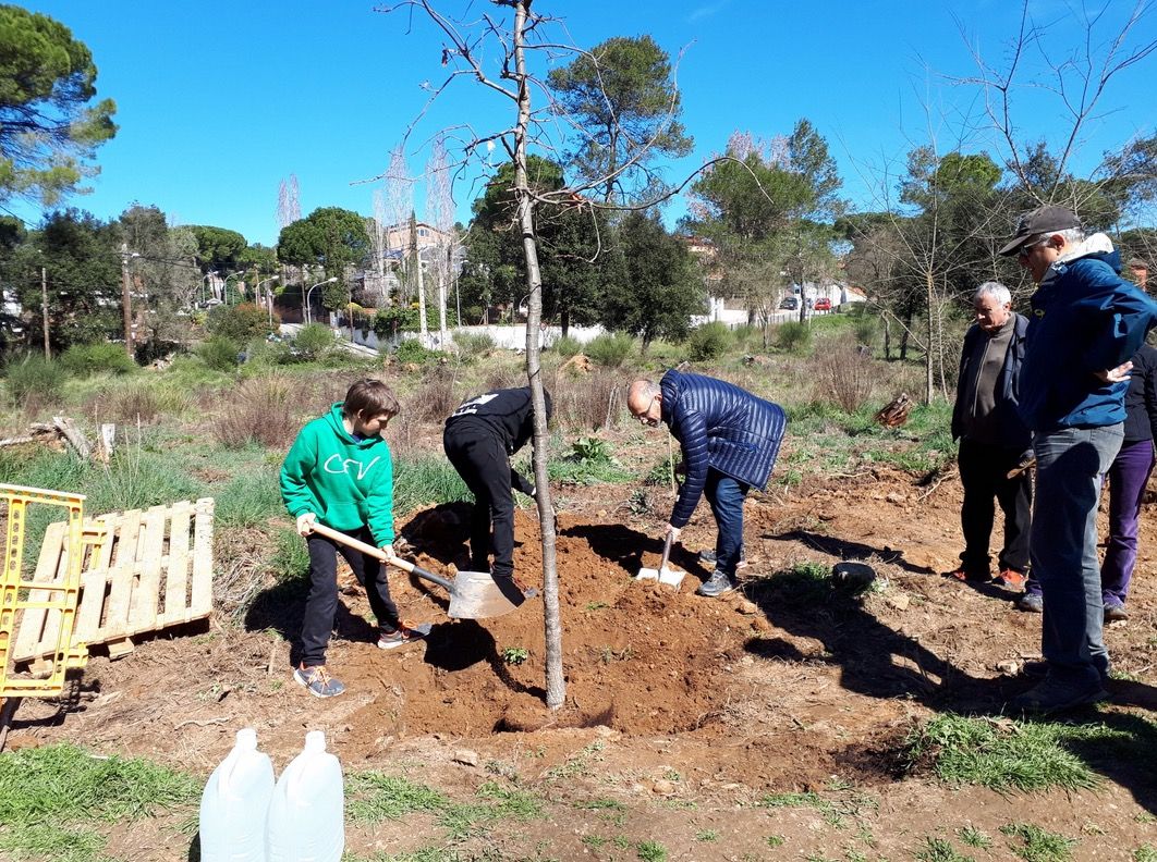 La Festa de l'arbre s'ha celebrat aquest 18 de març. FOTO: @QuimCastello