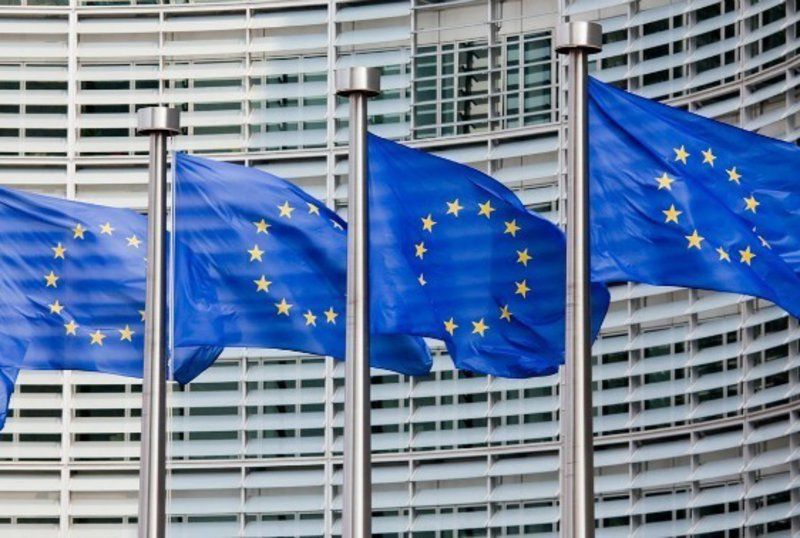 Rebuig al nomenament d'Elósegui com a jutgessa del TEDH.  FOTO: Cedida