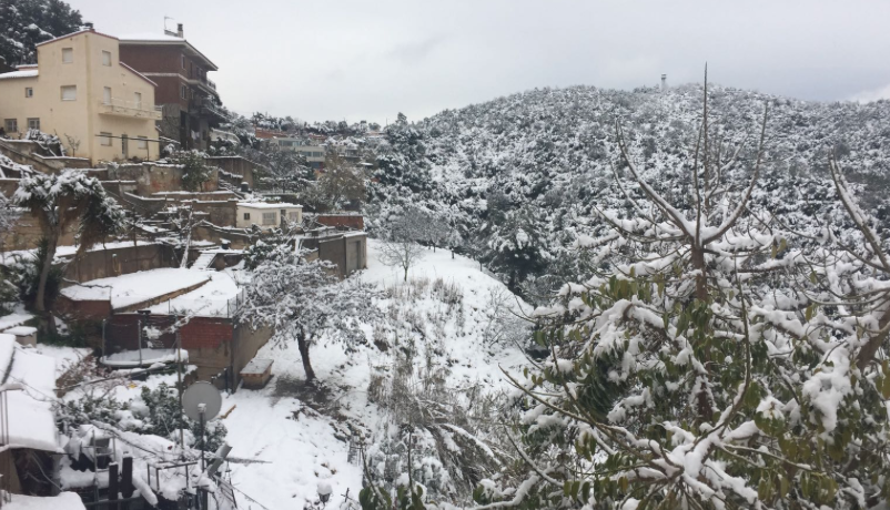 La Floresta FOTO: Cedida