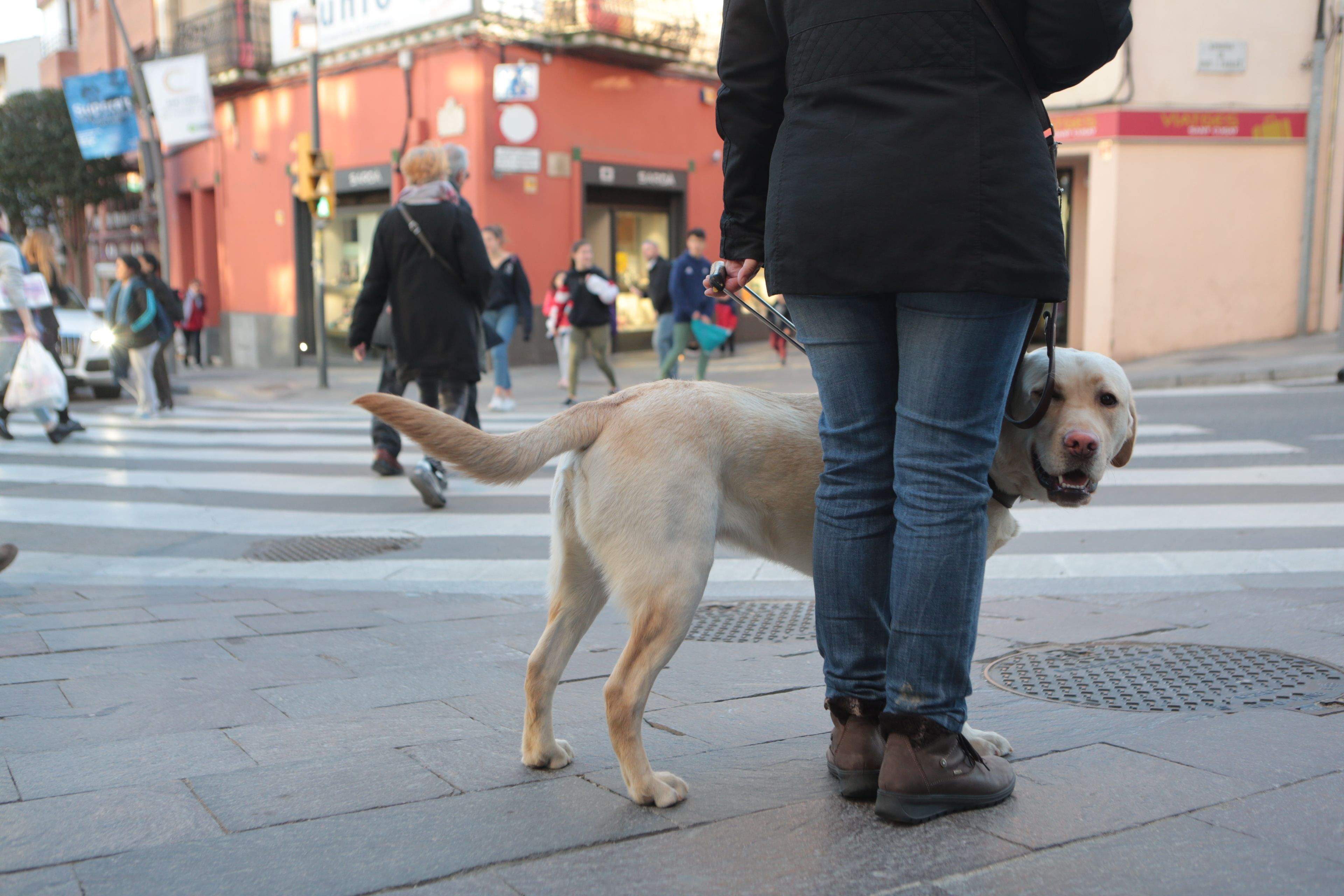 Rosa Chacón i el seu gos pigall, a la cruïlla de la plaça de Quatre Cantons. FOTO: Artur Ribera. 