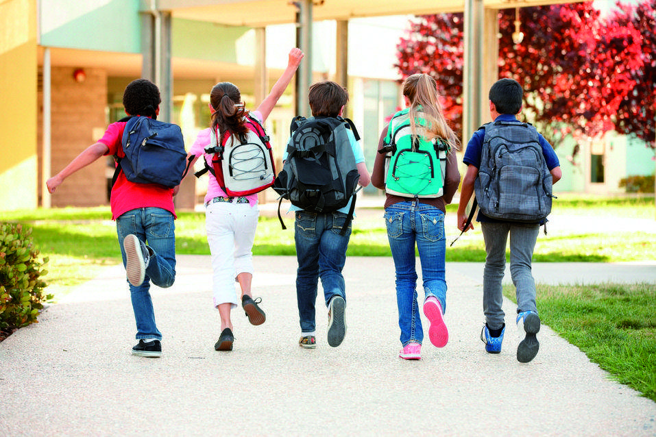 La  reducció del calendari s’ha pogut dur a terme en bona part gràcies als nous programes informàtics de registre d’alumnes, de gestió d’admissió d’alumnes i de gestió administrativa i econòmica de centres