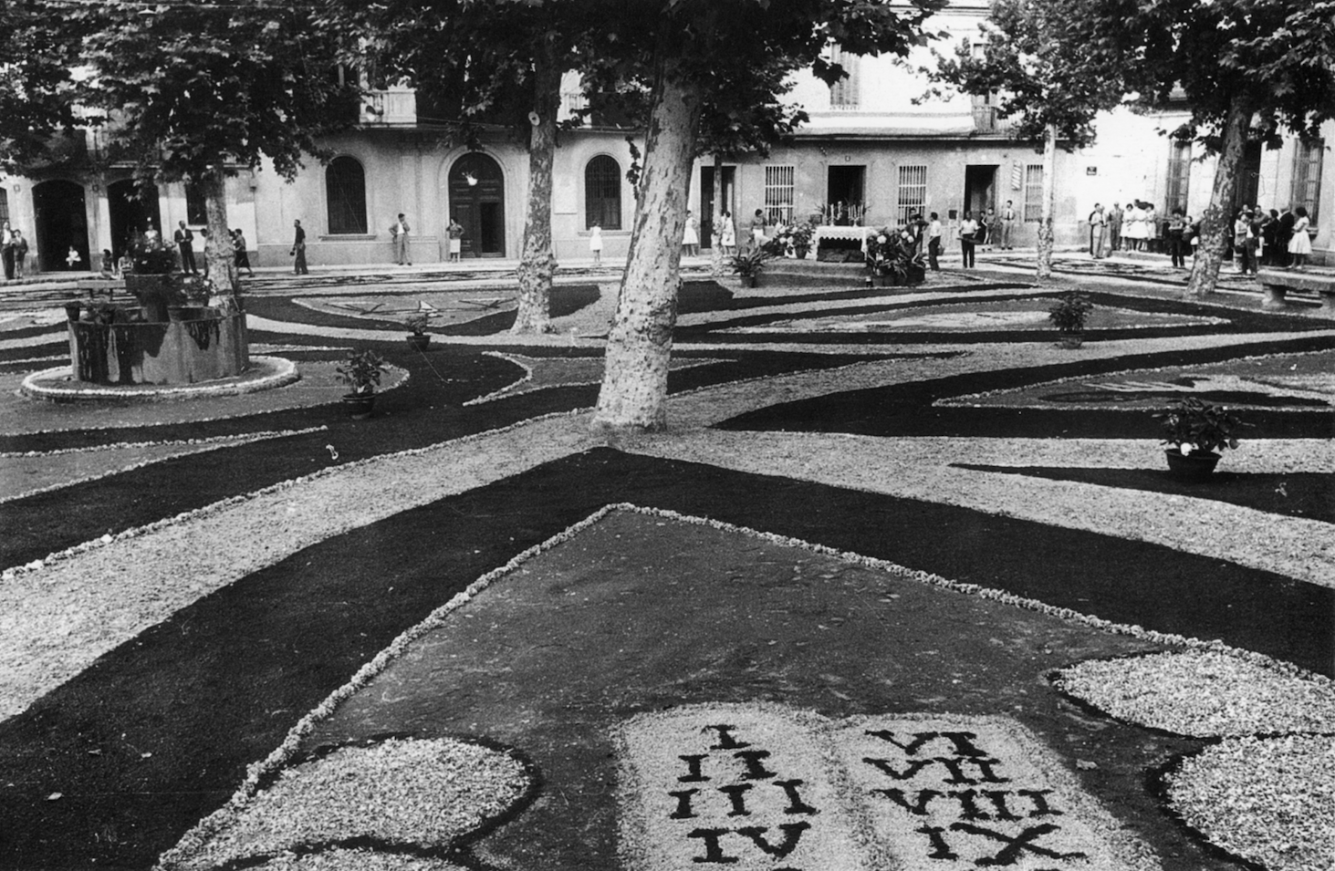 La plaça de Barcelona amb el terra guarnit de flors pel Corpus Christi als anys cinquanta. Fons: Família Buscallà Català