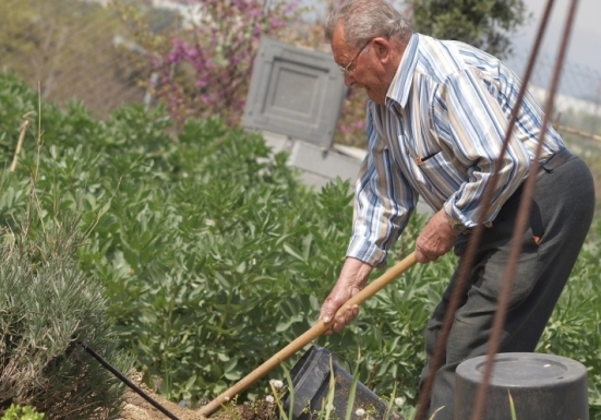 Horts urbans a Can Mates FOTO: Artur Ribera 