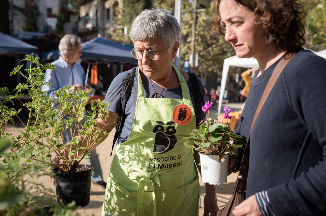 Fira d'intercanvi de plantes. FOTO: Oscar Bayona