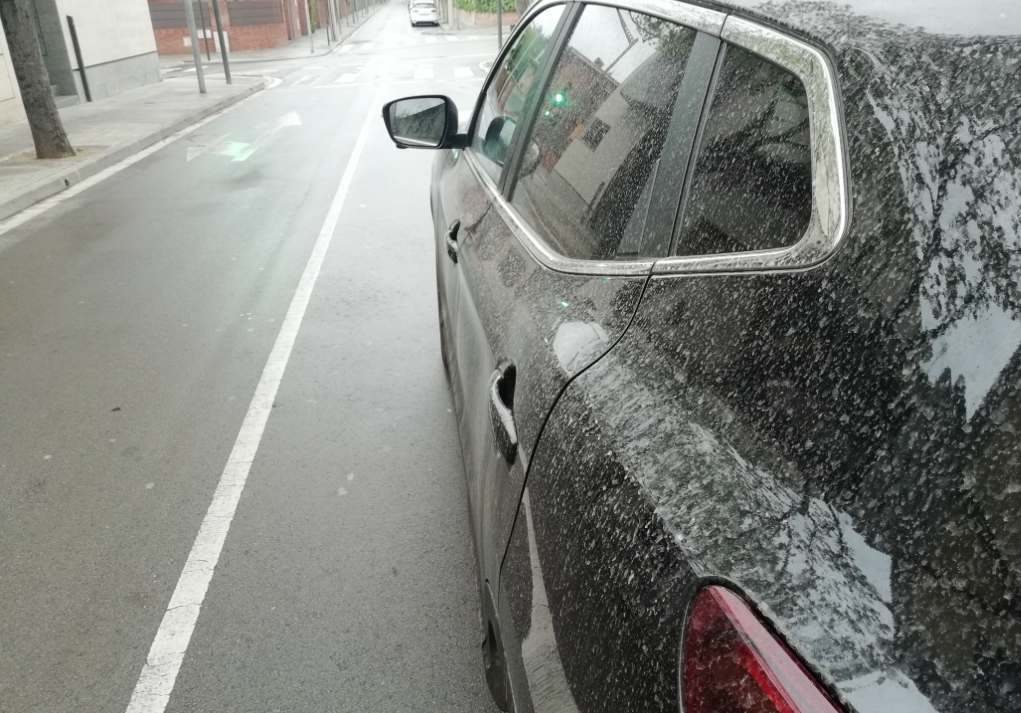 Pols del Sàhara en un cotxe a Sant Cugat FOTO: TOT Sant Cugat