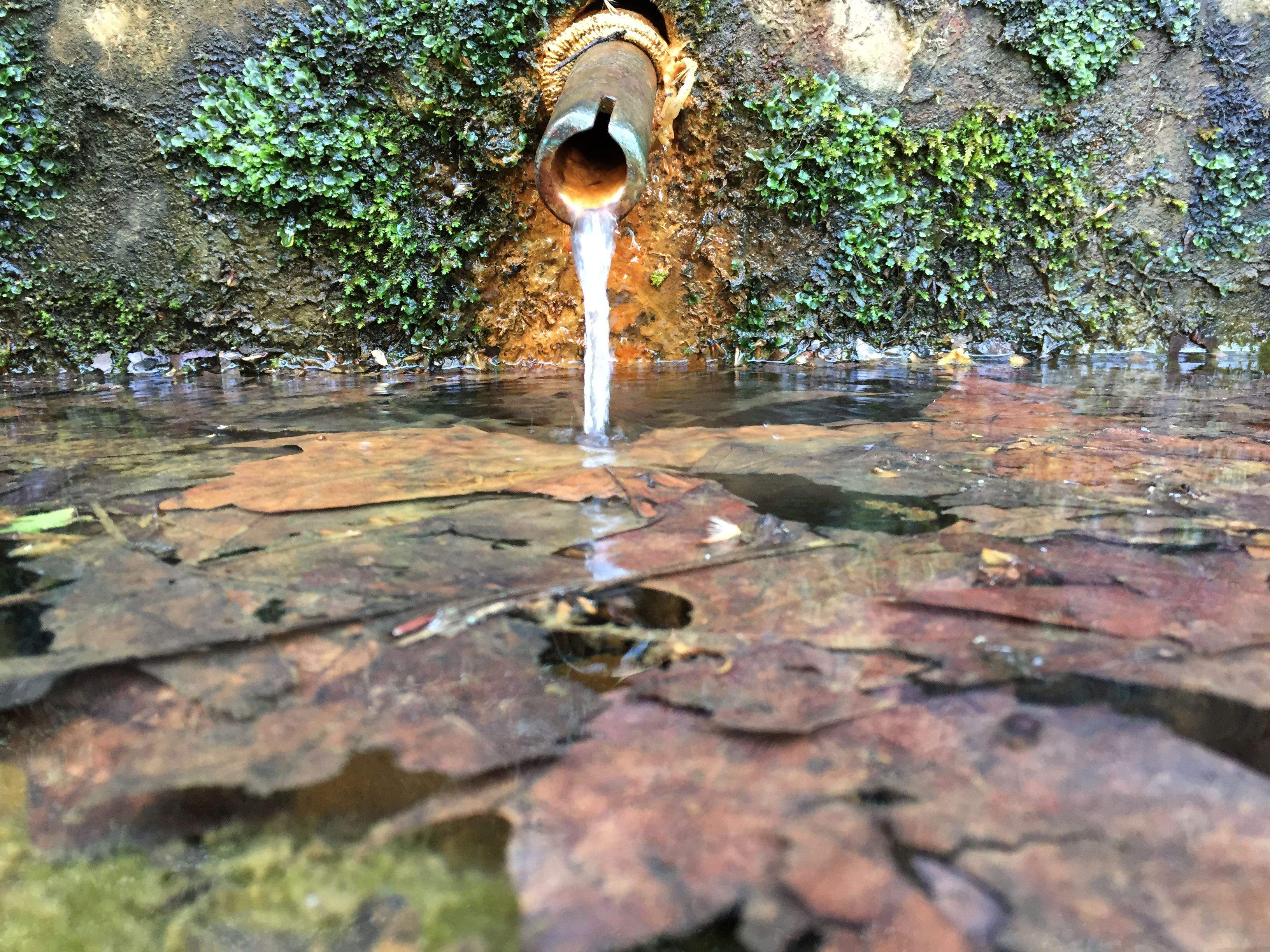Aigua a les fonts de Collserola FOTO: Artur Ribera